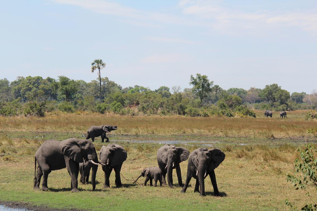 Cresta Maun Hotel Luaran gambar